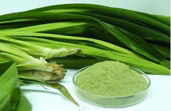 Bột lá dứa (lá nếp) tạo màu xanh 50g
