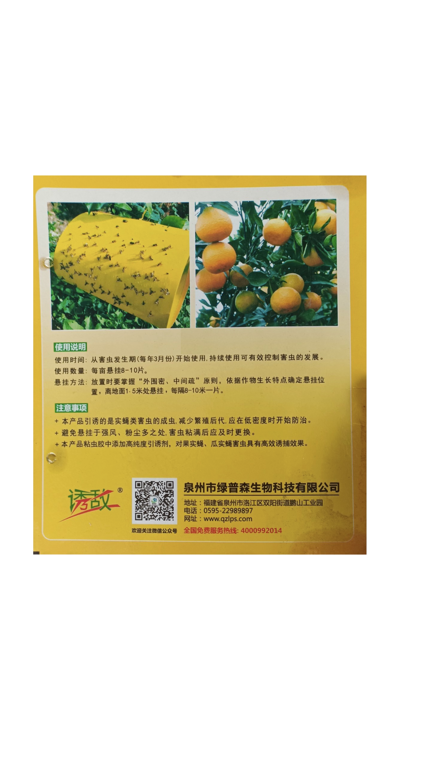 Keo dính dẫn dụ bẫy ruồi vàng