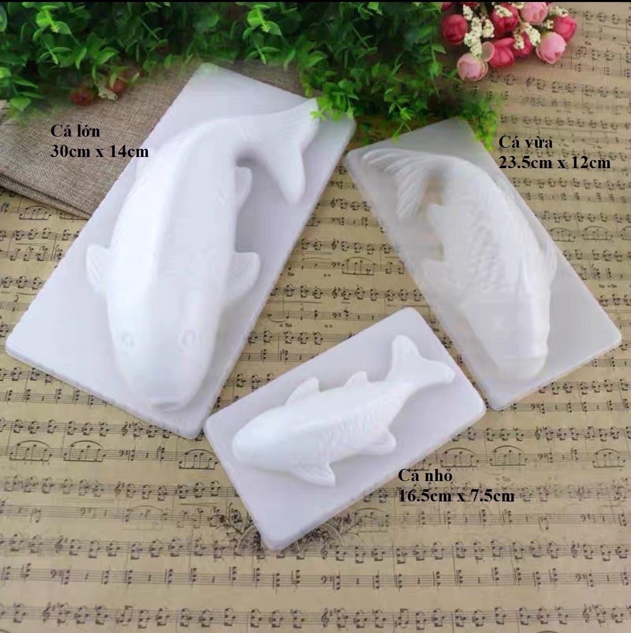 Khuôn nhựa hình cá chép 3D