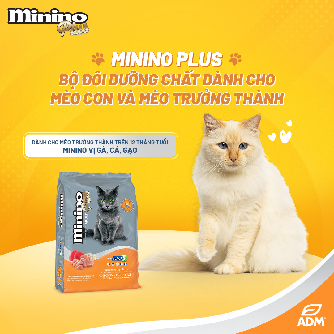 Hạt Cho Mèo Mọi Lứa Tuổi Minino Plus