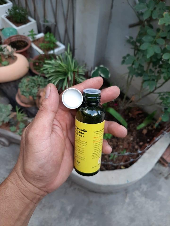 Thuốc kích rễ Exotic ( hàng Thái có hướng dẫn tiếng Việt)