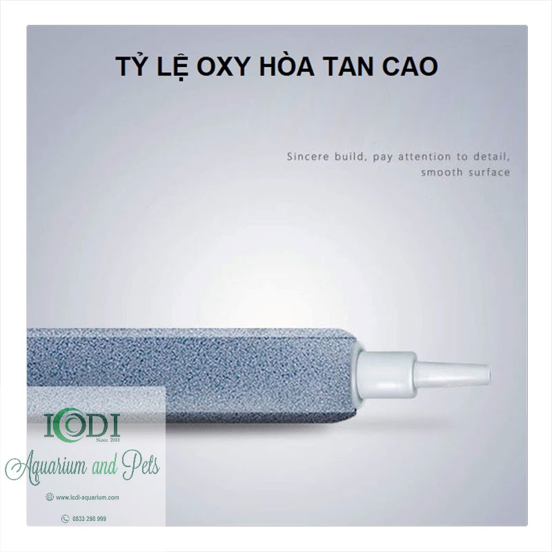 Đĩa sủi oxy cho bể cá cảnh bể thủy sinh