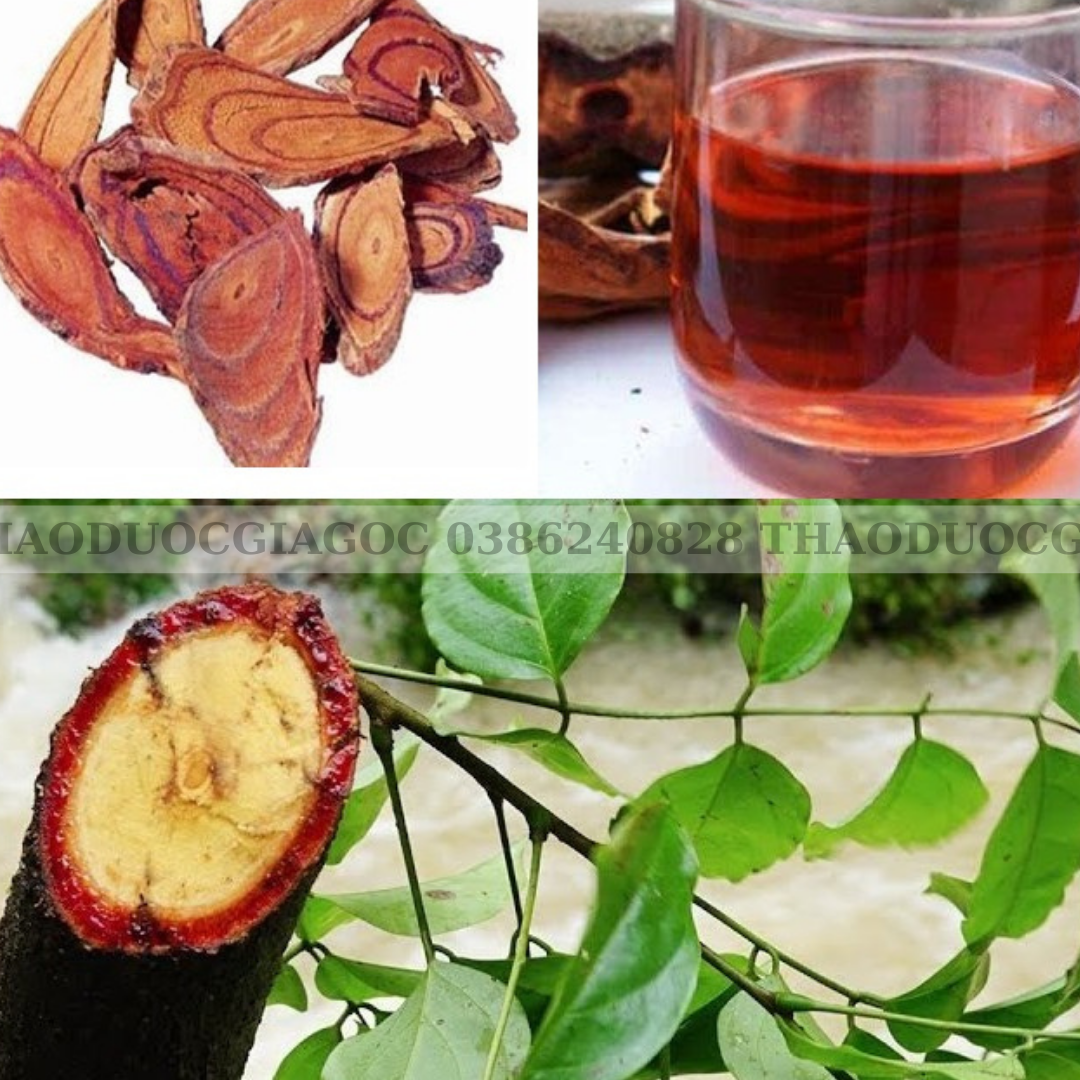 (1Kg )CÂY CỎ MÁU GIÚP TĂNG CÂN LOẠI XỊN