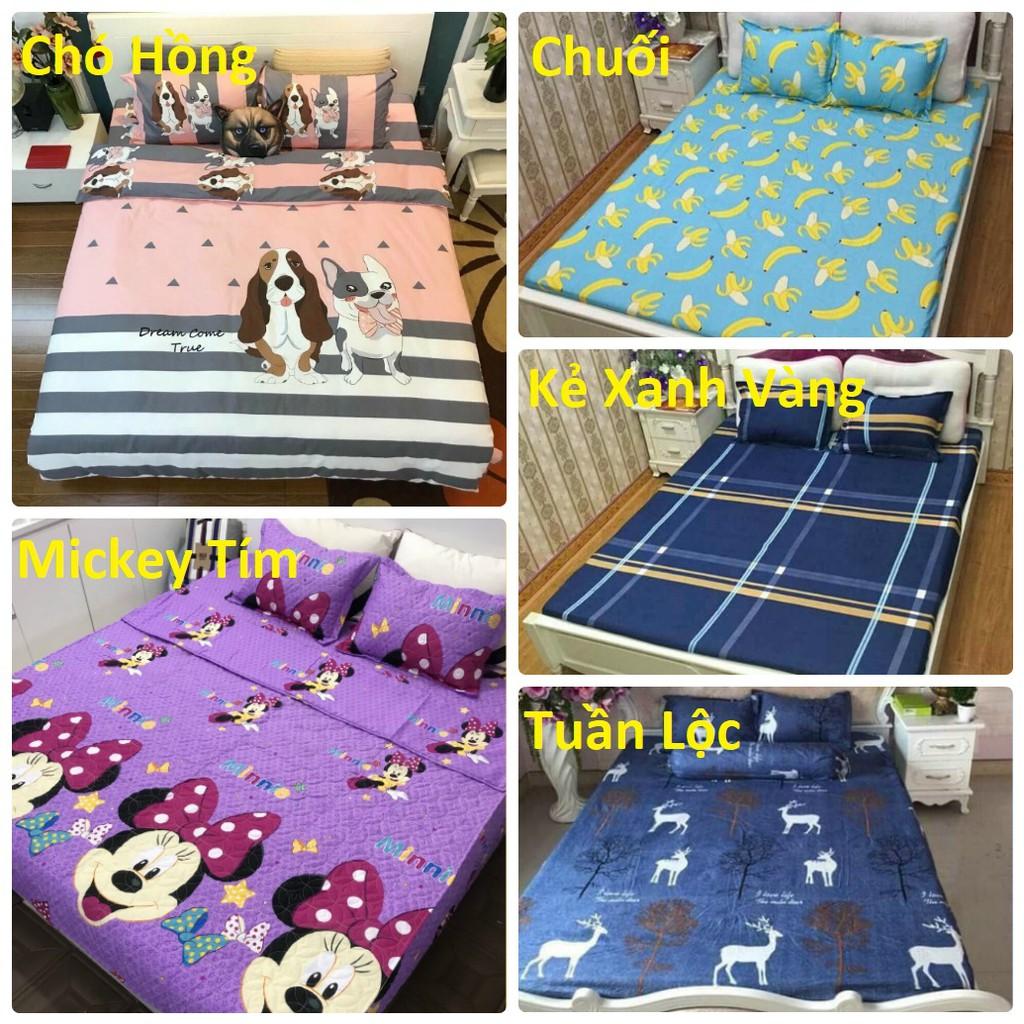 1 ga 2 vỏ gối nằm poly cotton nhiều mẫu