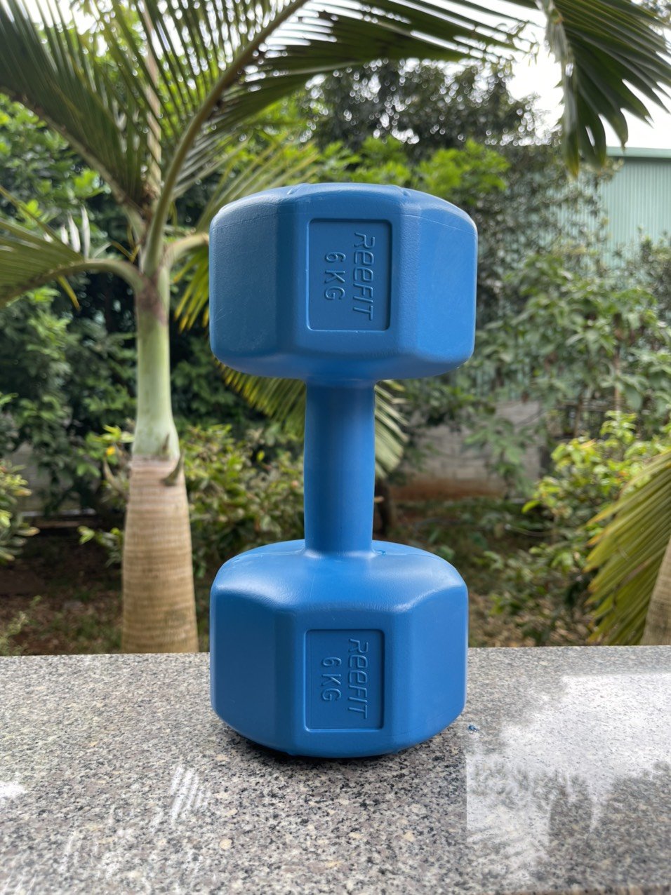 Tạ tay nhựa bát giác Reefit 12kg màu xanh có ruột