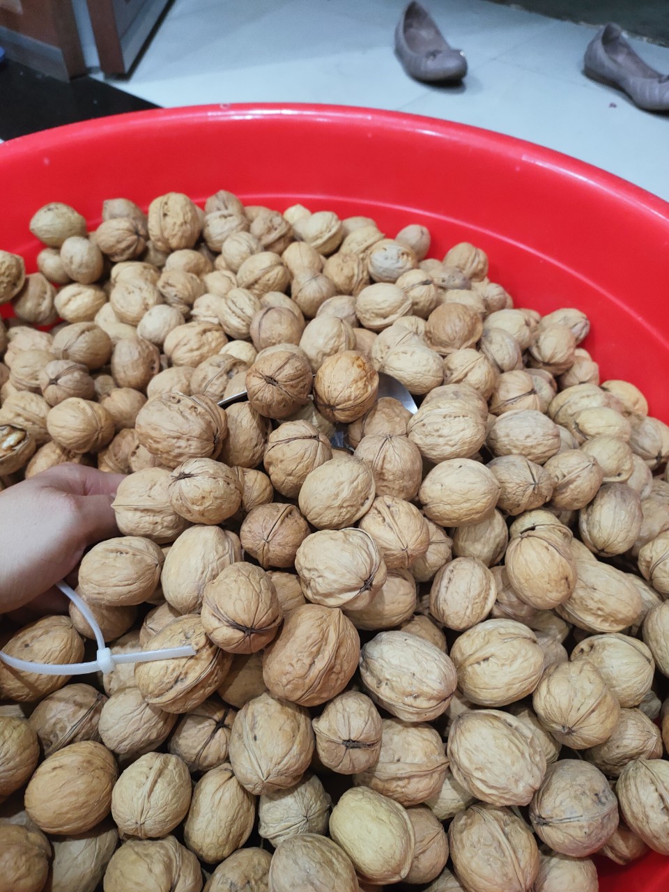 1 kg-500 gr Quả óc chó vỏ mỏng hàng nhập khẩu, (có loại đã tách nhân và loại còn vỏ)