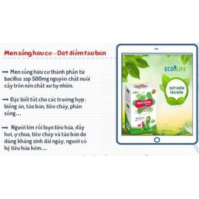 1 hộp Men sống hữu cơ Ecolife