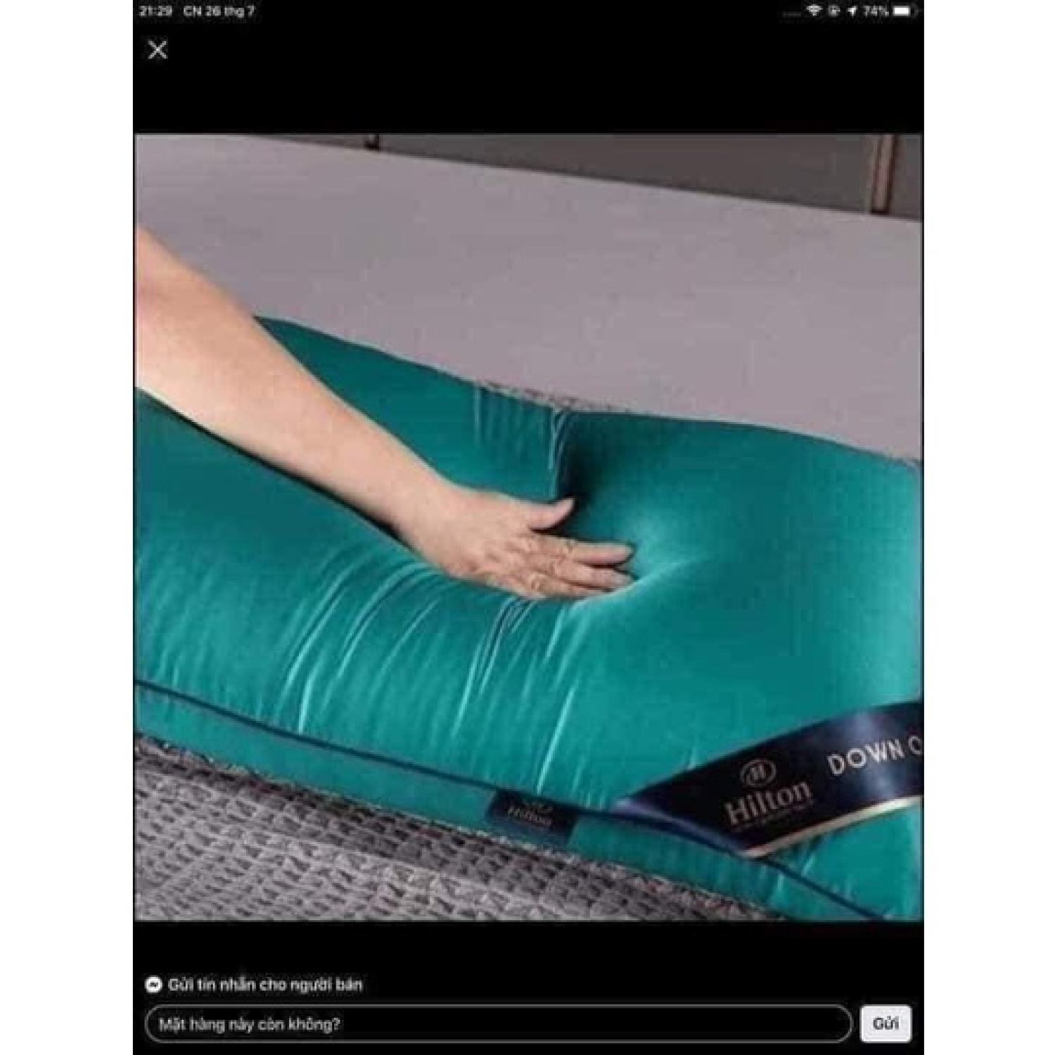 Ruột gối hitton cao cấp chuẩn cân nặng 1,3kg/1 đôi