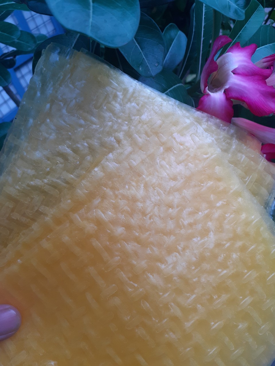 [500G]- Bánh Tráng Dưa Hấu Vàng Quỳnh Anh