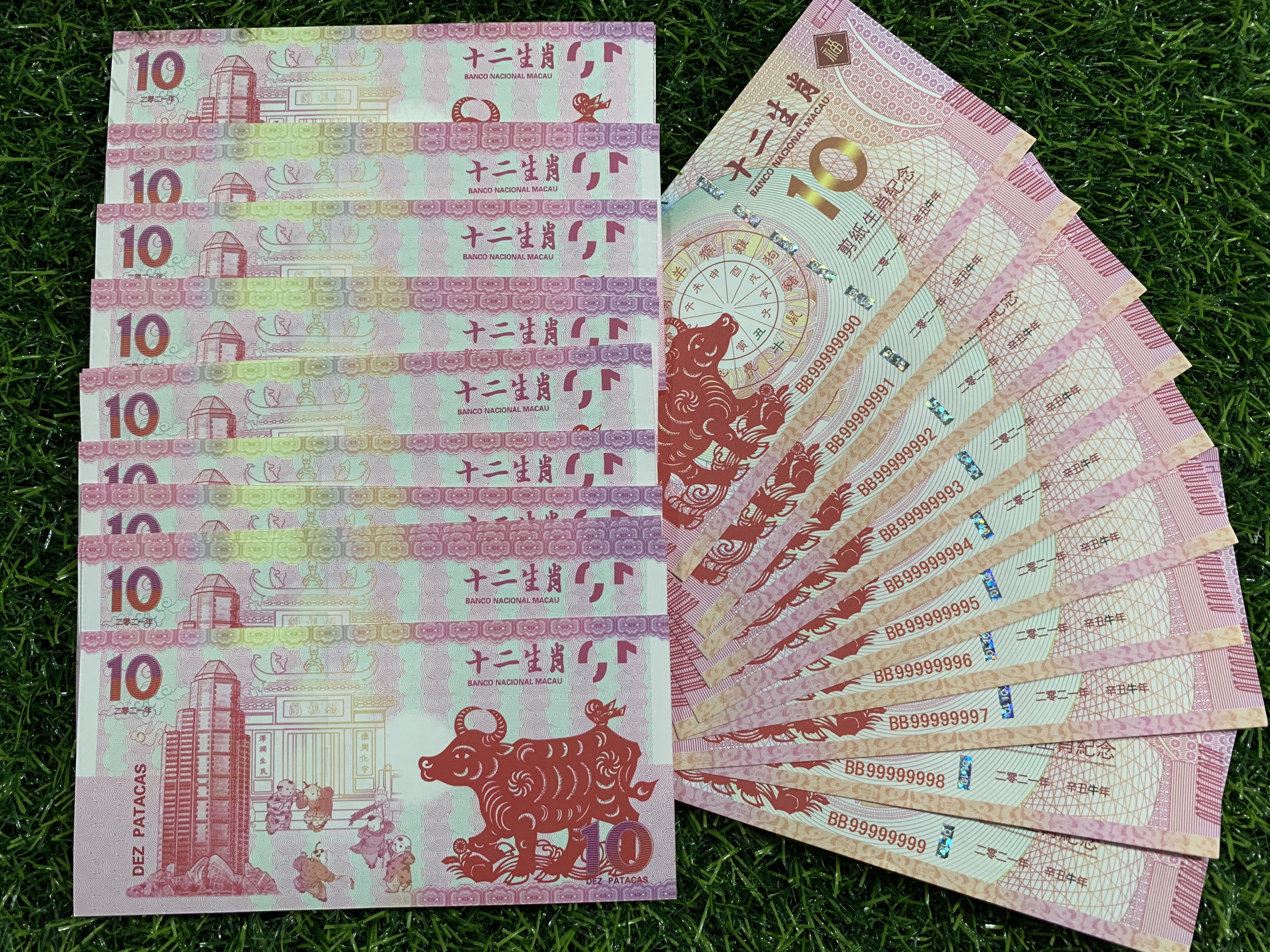 10 Do La Macao hình Trâu