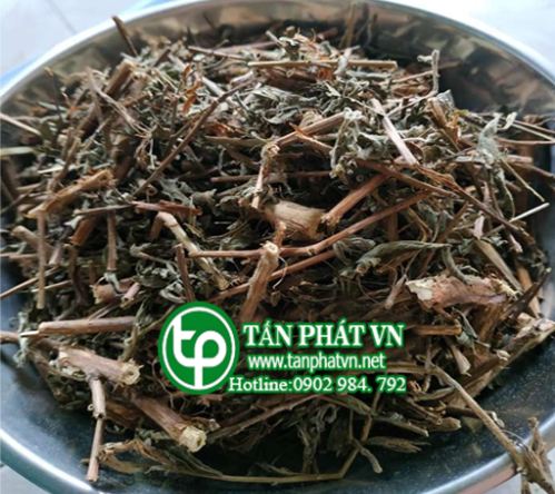 Cây rau mương sấy khô 500g - Tấn phát