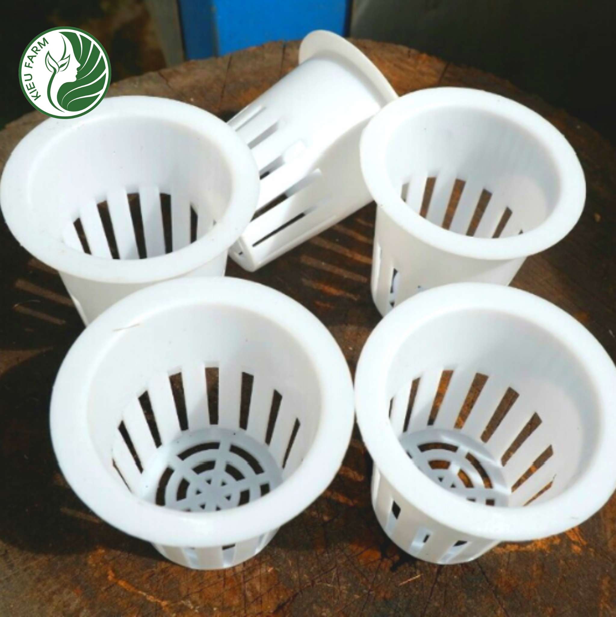 100 Rọ thủy canh trồng rau