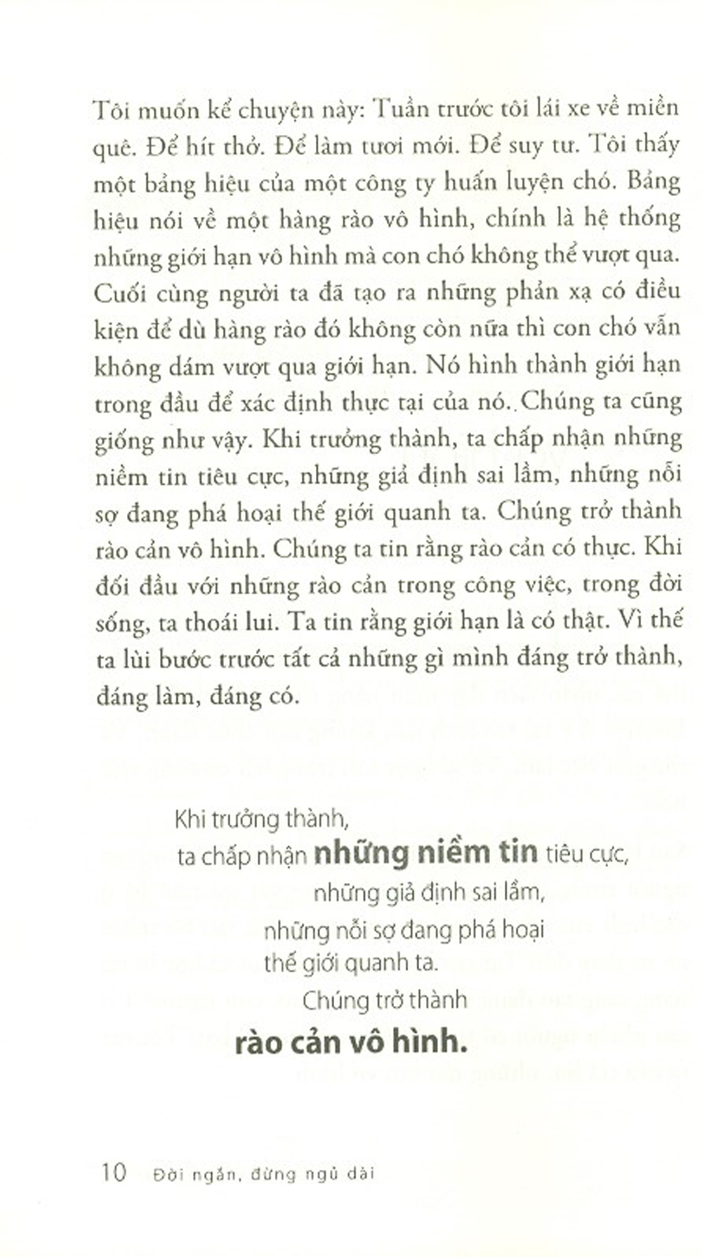Đời Ngắn Đừng Ngủ Dài