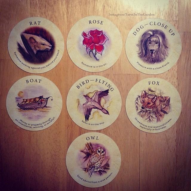 Bài Tea Leaf Fortune Cards