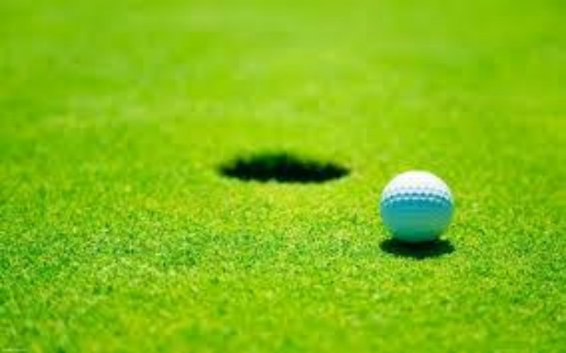 Hạt Giống Cỏ Sân Golf - Cỏ Nhung Nhật. Túi 100 Gram - Dễ Trồng - Chuẩn Giống.