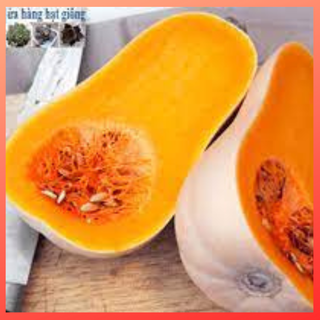 10 HẠT GIỐNG BÍ DẺO SIÊU QUẢ