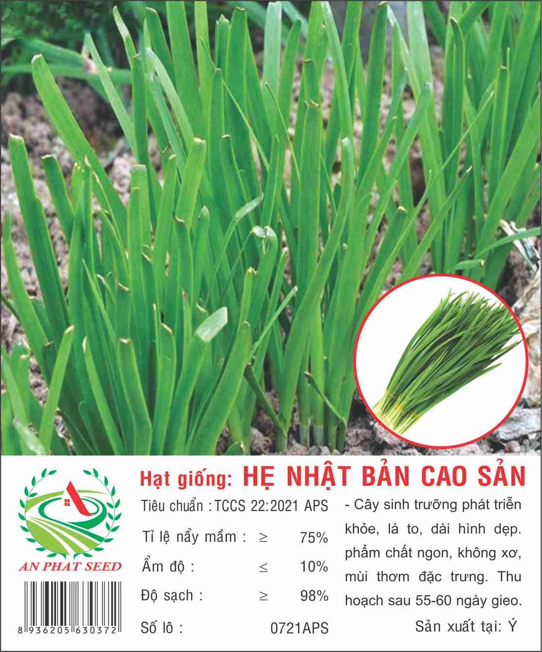 Hạt giống hẹ cao sản Nhật Bản VTP32 | Vạn Tín Store