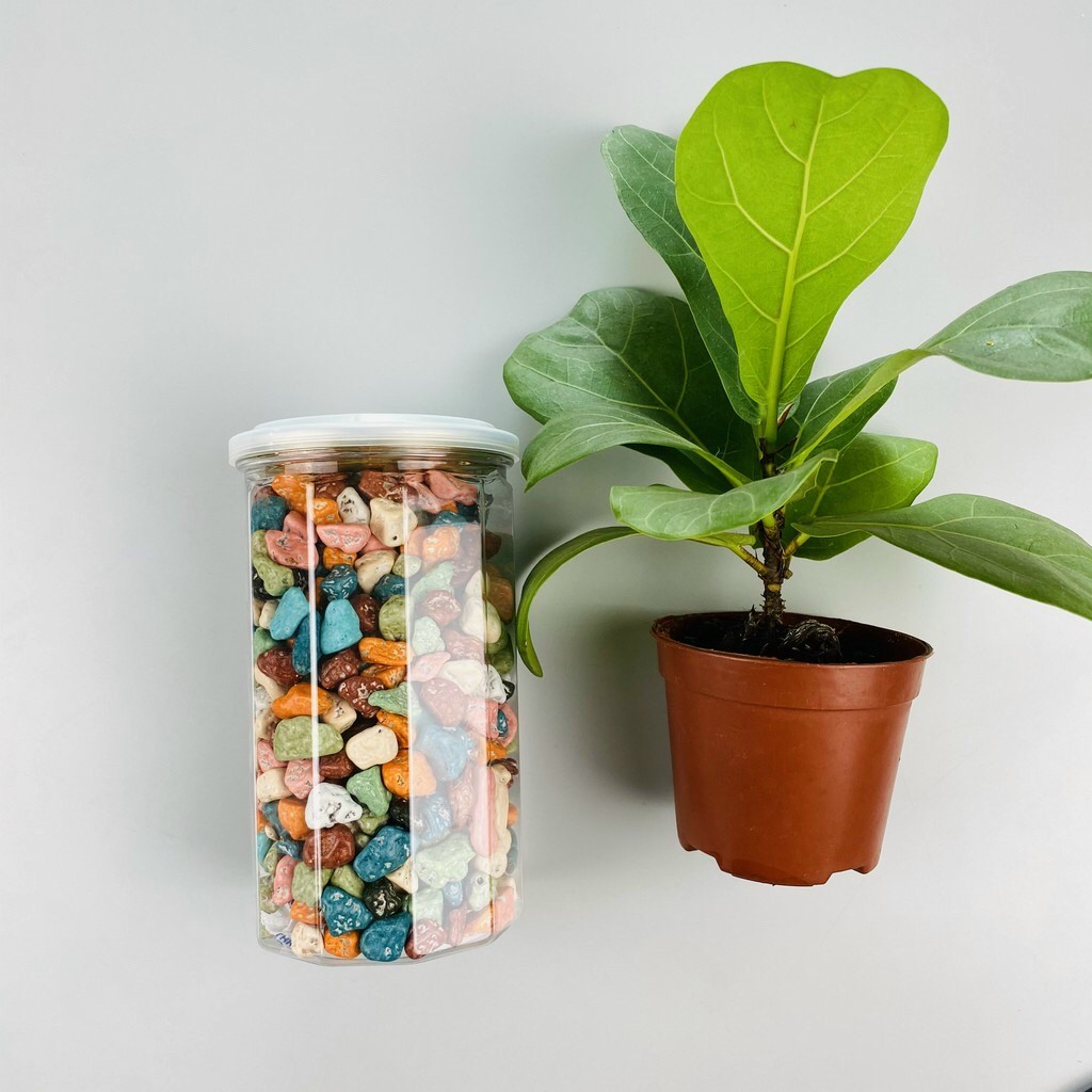 Kẹo sỏi đá socola 1000gr