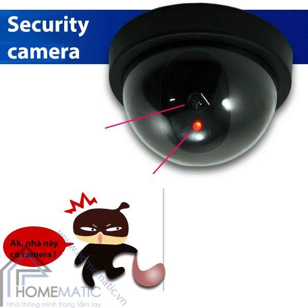 CAMERA MÔ HÌNH CHỐNG TRỘM BBC01