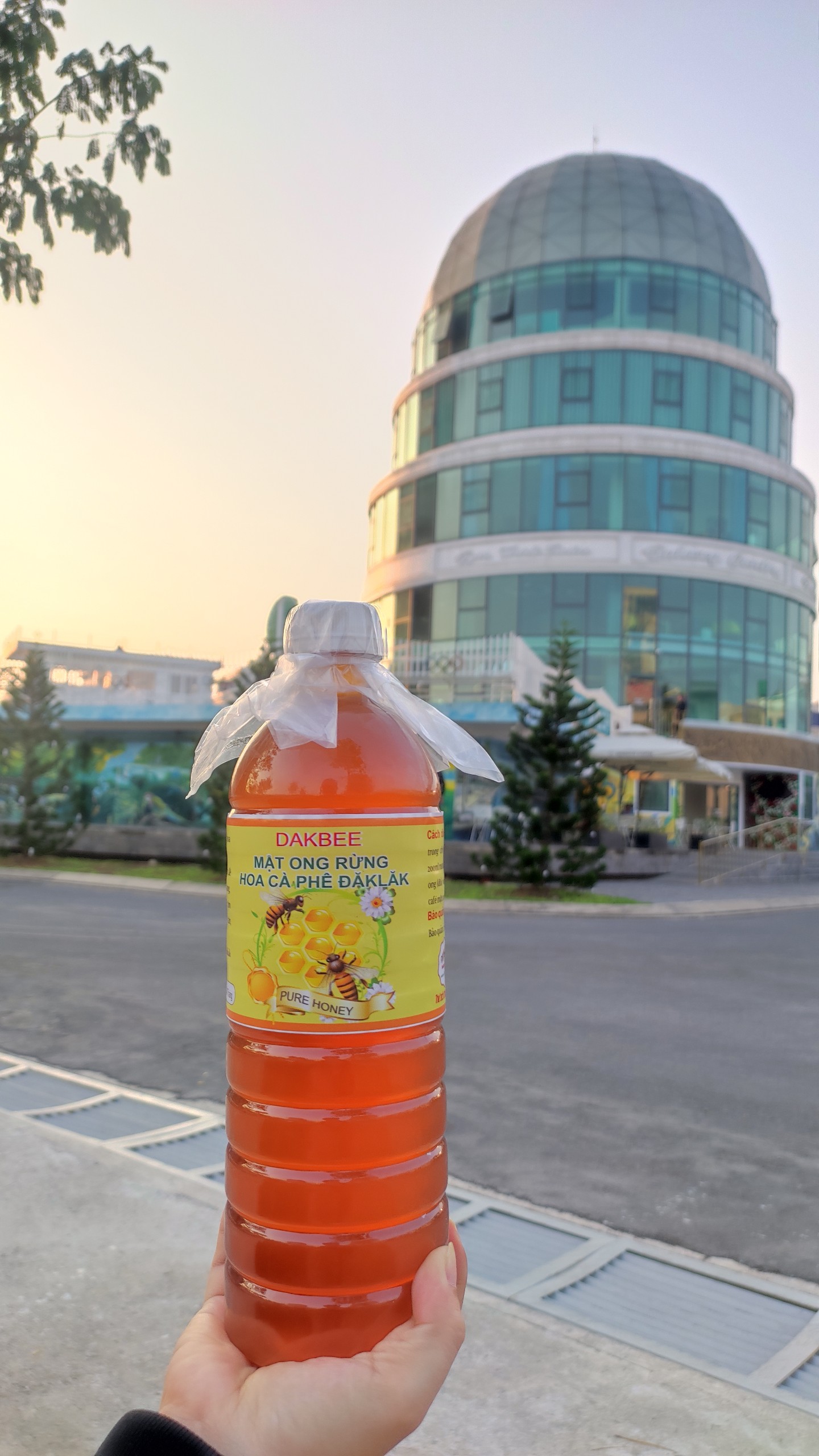 [Freeship] 1 LÍT (1300 gr) Mật ong rừng hoa cà phê nguyên chất Daklak