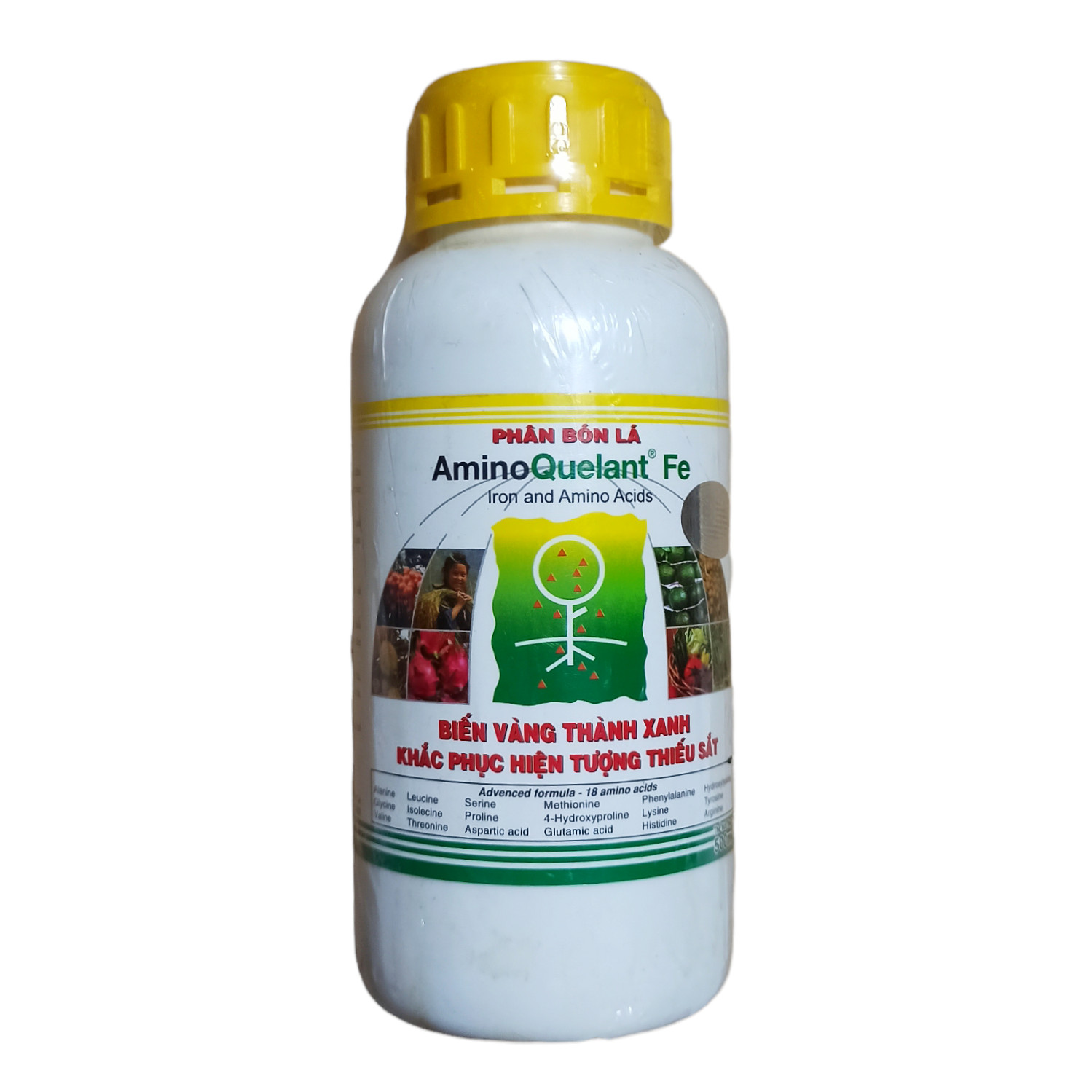 Phân Bón Hữu Cơ AminoQuelant - Fe Chai 500ml Biến vàng thành xanh