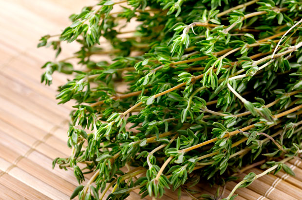 Lá Xạ Hương Ông Chà Và 30gr