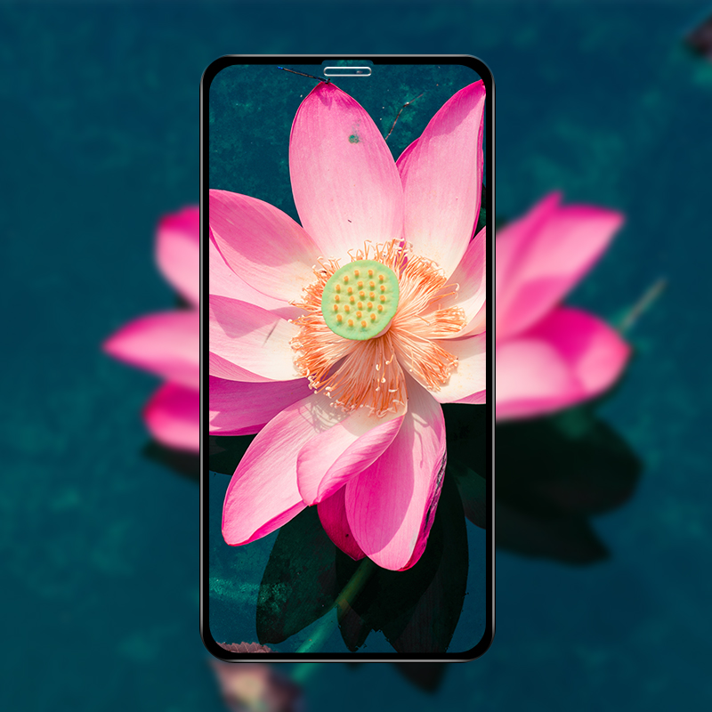 Kính cường lực MIPOW KING BULL 3D cho iPhone đủ dòng