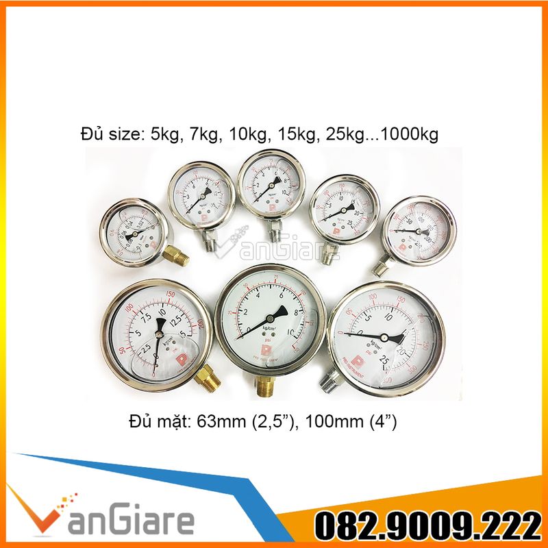 Đồng hồ đo áp suất Pro Instrument mặt 63mm (Đủ size)