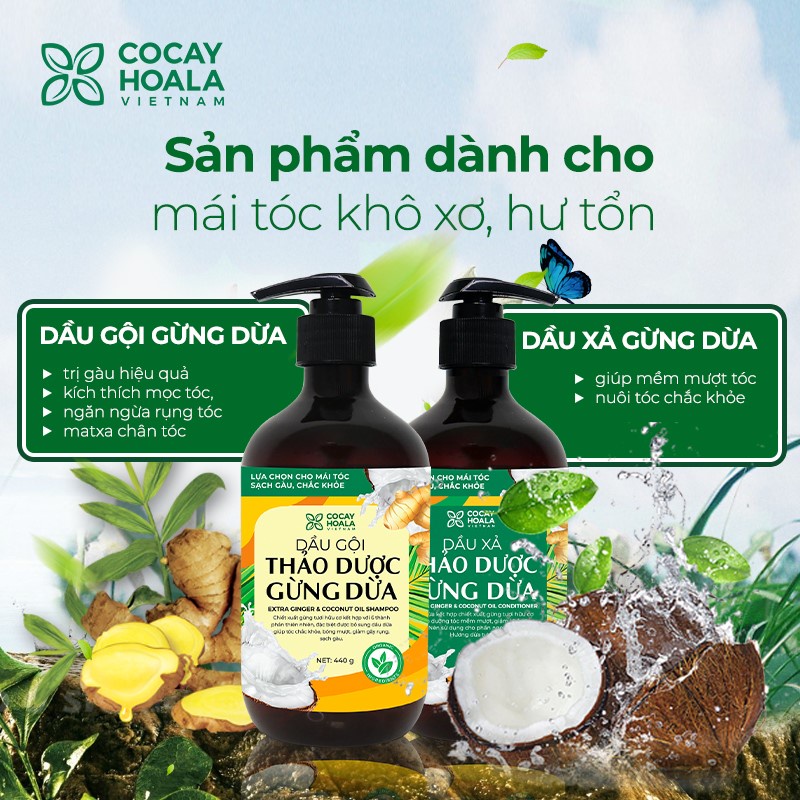 Dầu gội -  xả thảo dược Gừng Dừa