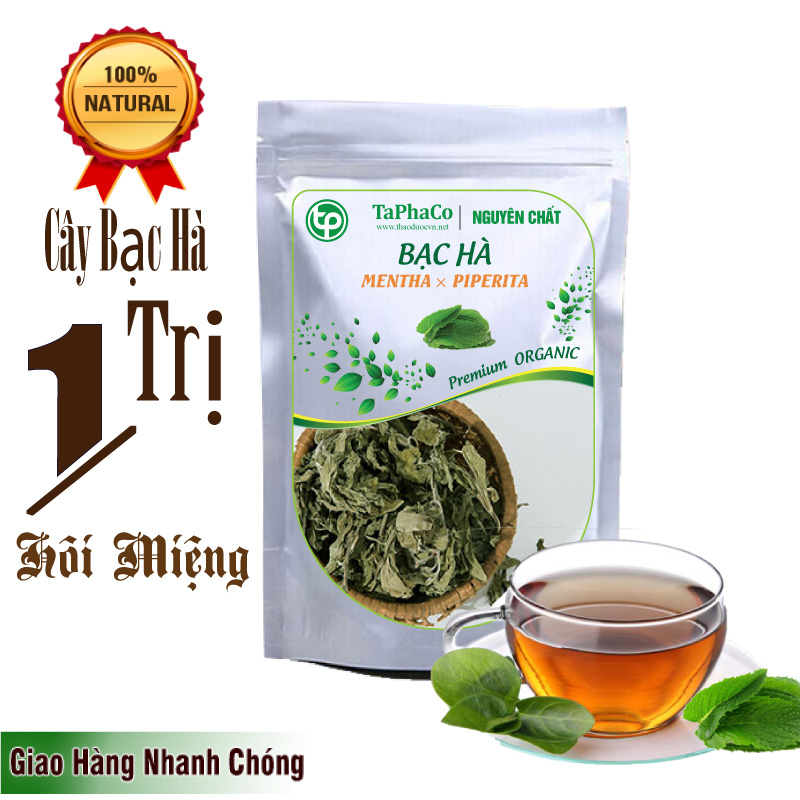 Cây Bạc Hà 500g Tấn Phát - Hàng sạch thơm cao cấp - Chuyên dùng để sắc nước và pha trà