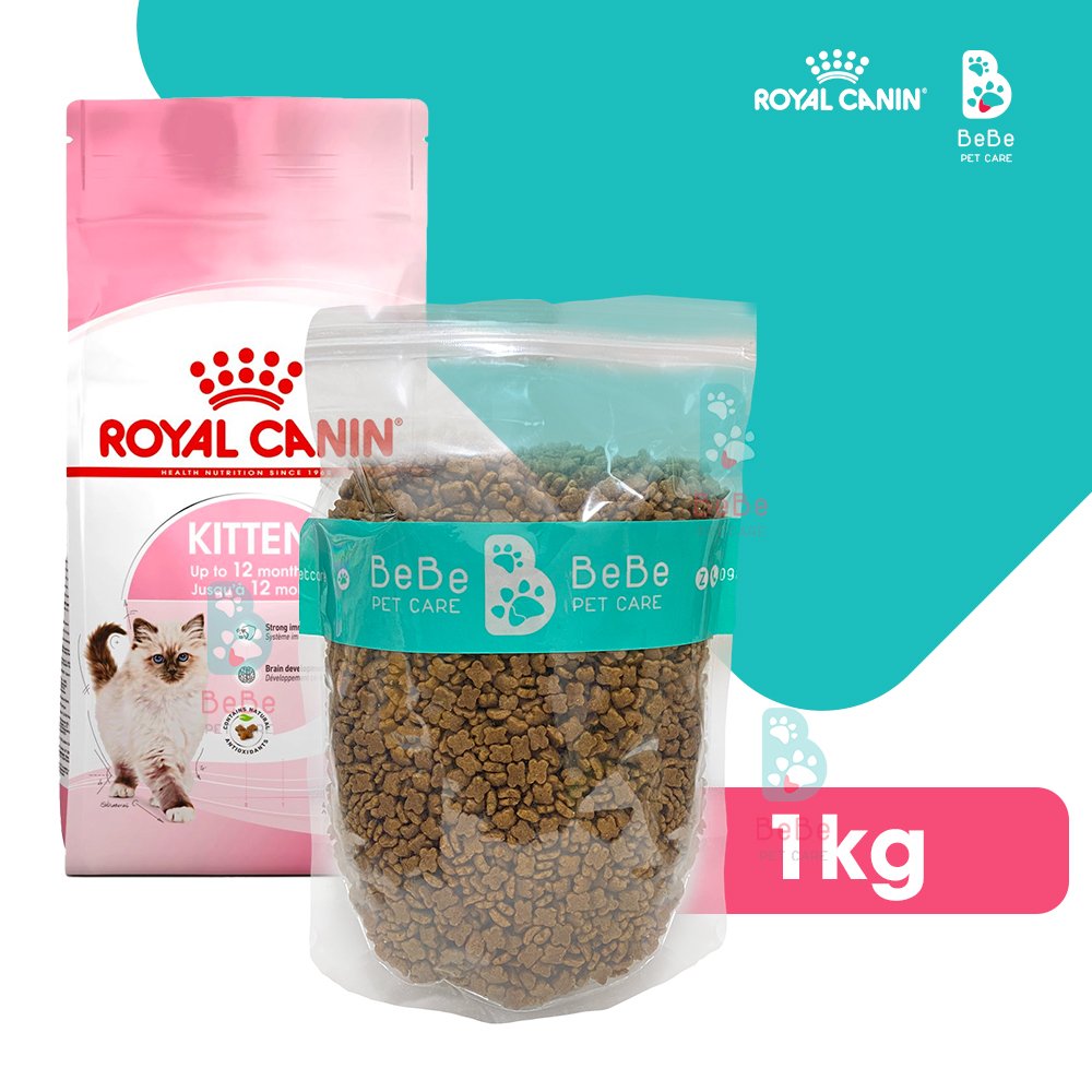 Hạt royal canin kitten dành cho mèo con
