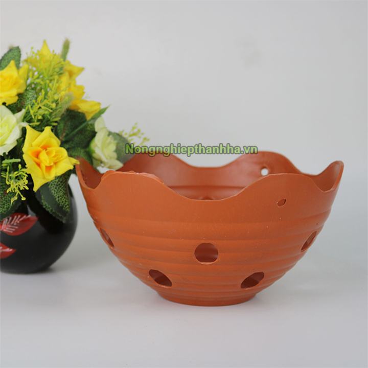 Chậu nhựa trồng lan phi 20cm - CN25