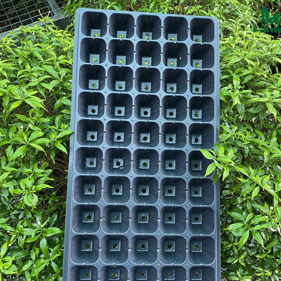 Combo 2 cái khay nhựa ươm hạt giống ,ươm cây con(cái 50 lỗ)