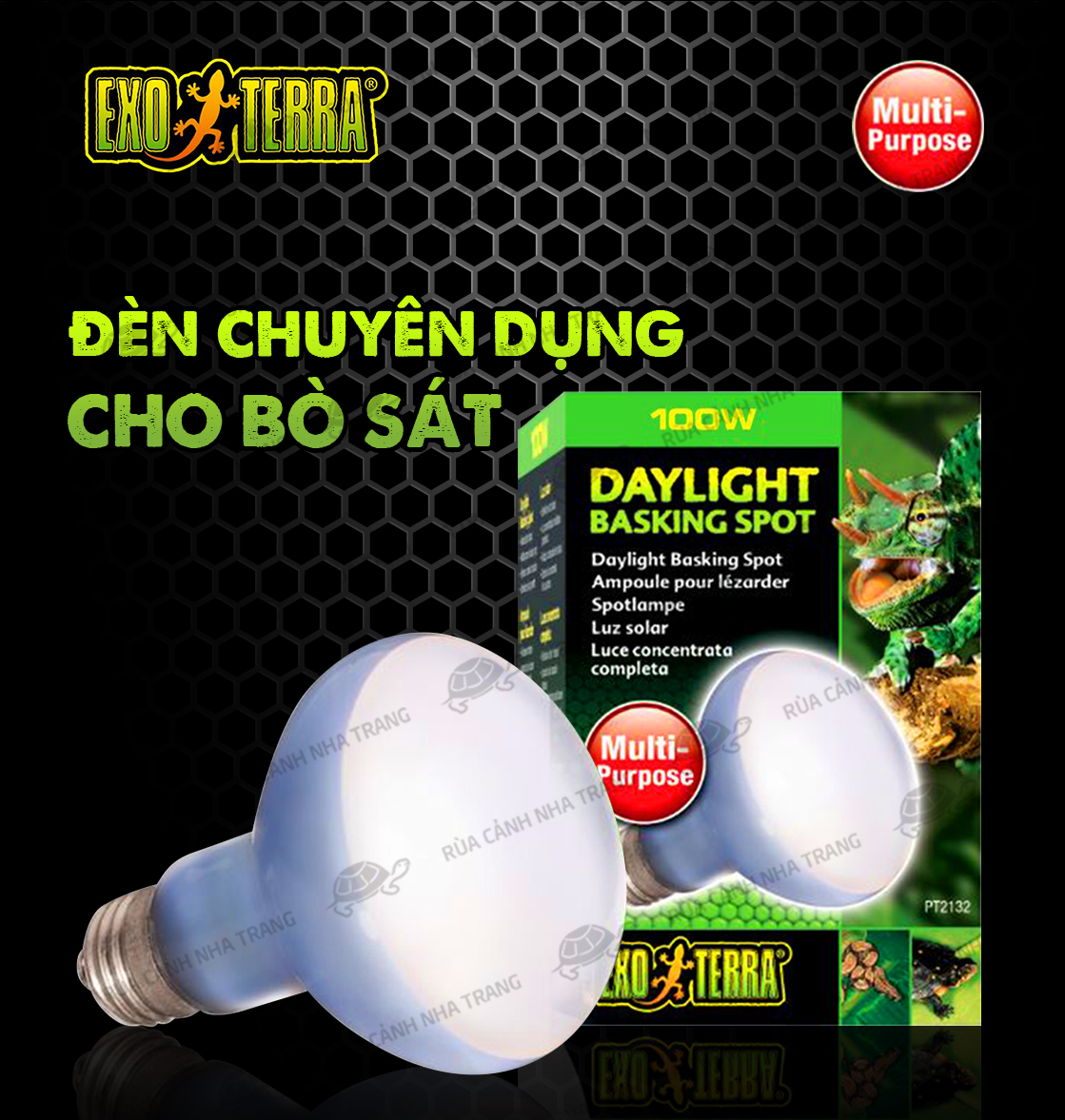 ĐÈN UVA ĐÈN SƯỞI