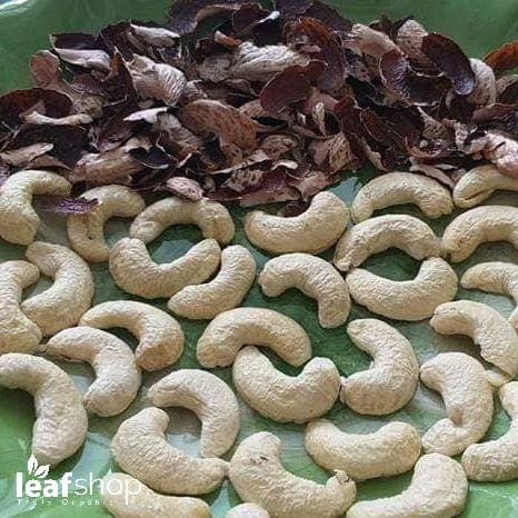 [HCM]Hạt điều rang muối 3H 280g/450g - Leafhouse hcm