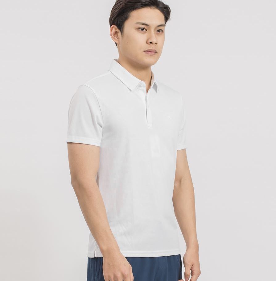ÁO POLO NAM ARISTINO APS048S9