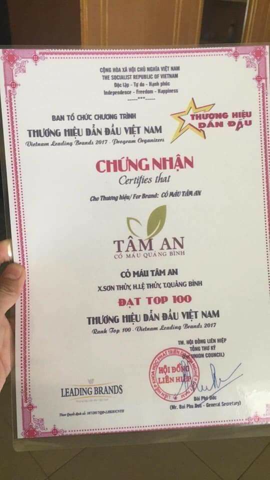 Cỏ máu Tâm An đẹp da, thải độc