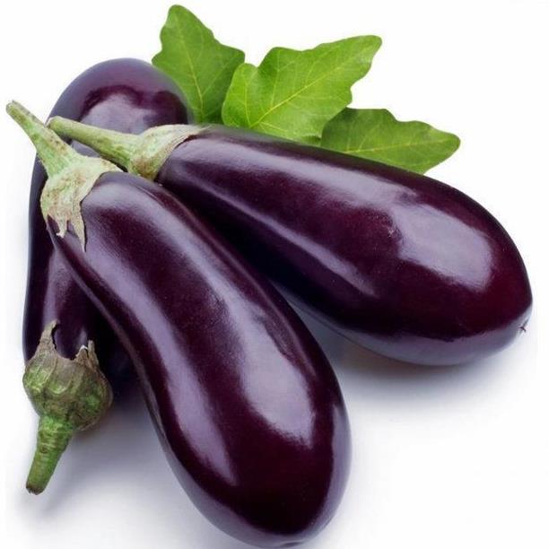 HẠT GIỐNG CÀ TÍM DÀI GÓI 1000MG
