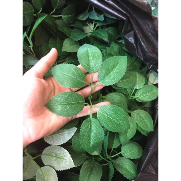 Hoa giả - 10 Lá hồng gân