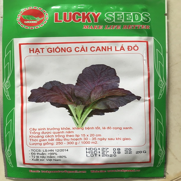 Hạt giống rau Cải Canh Lá Đỏ