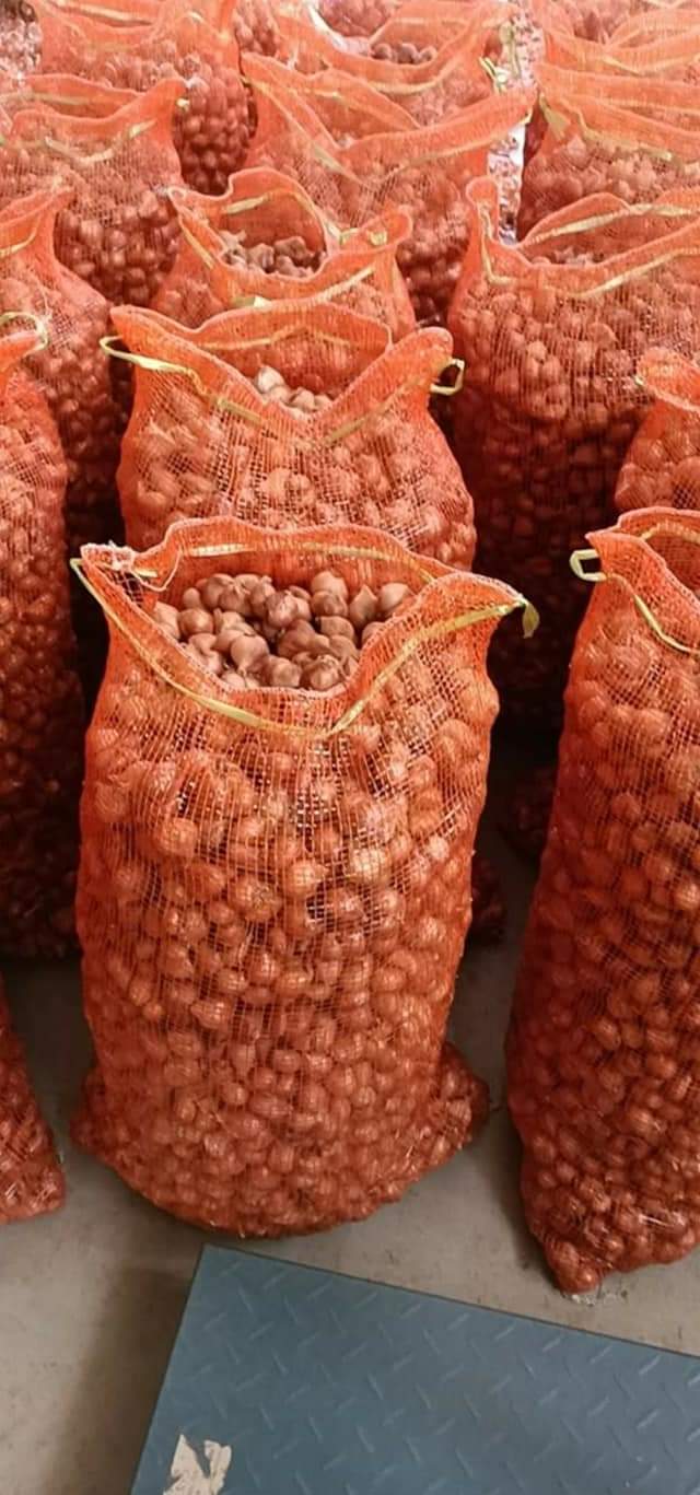 Hành Củ Kinh Môn Hải Dương - 1Kg