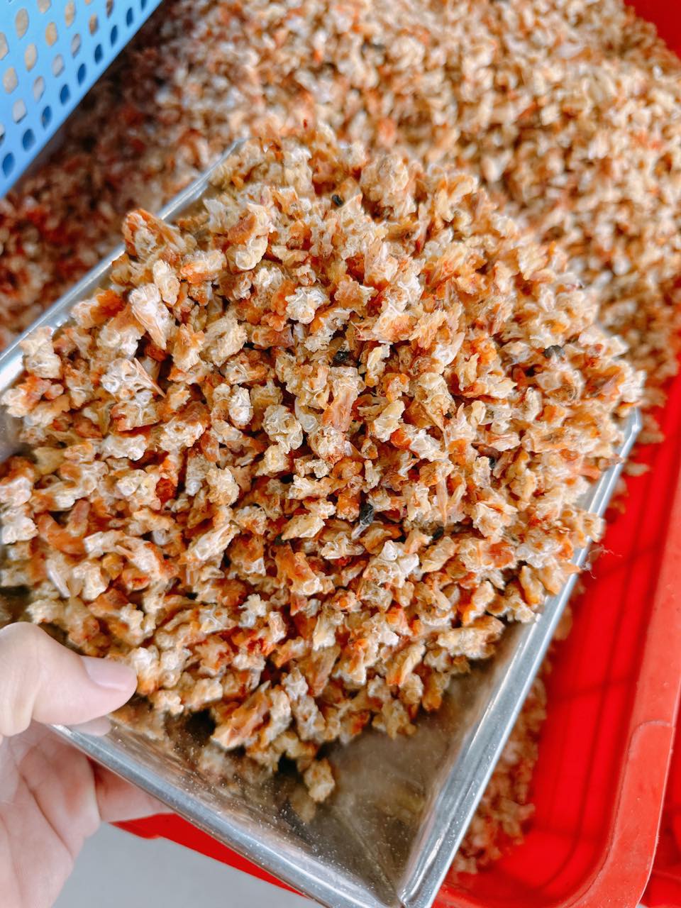 1 KG ĐẦU TÔM BIỂN SẤY KHÔ ĐẶC SẢN CÀ MAU
