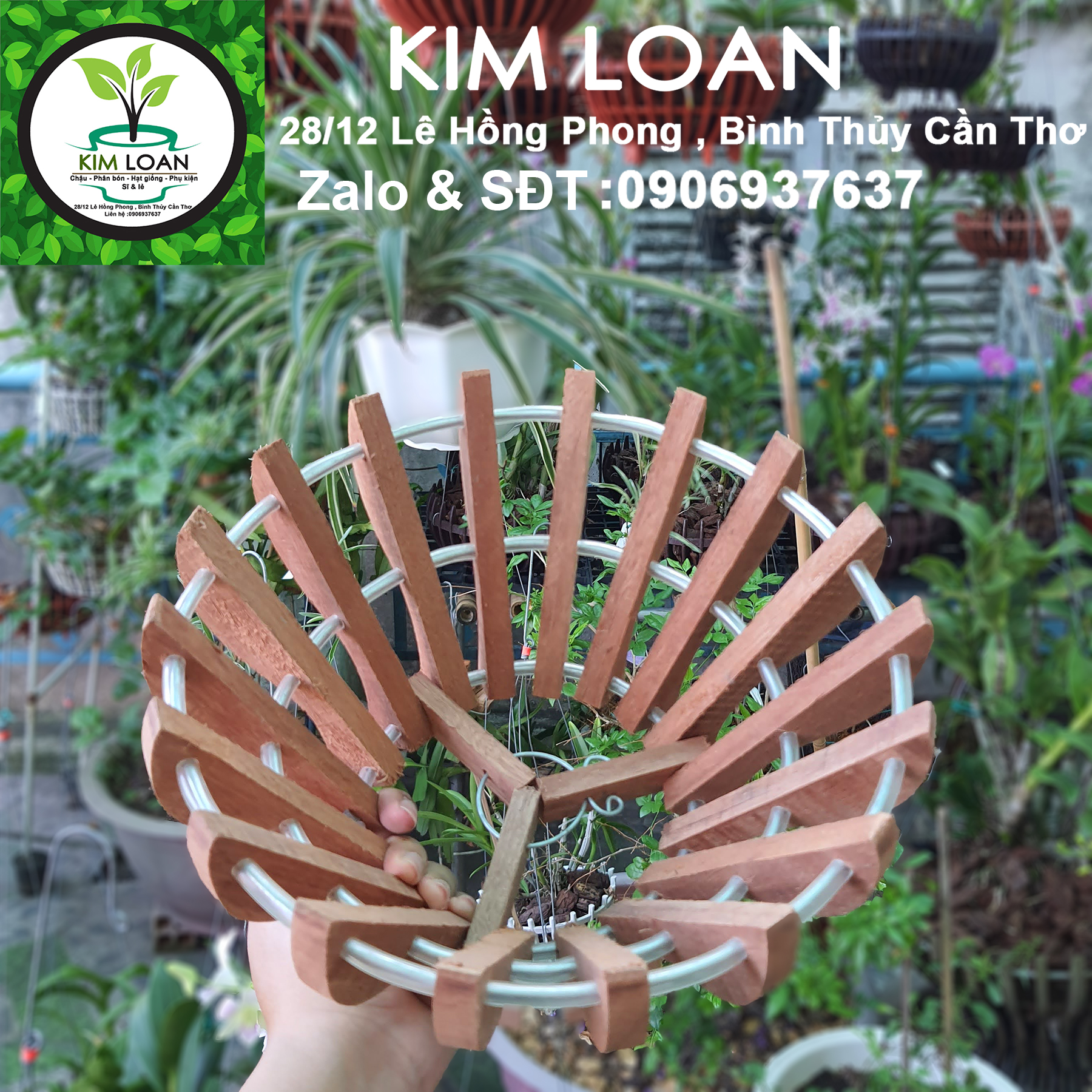 Chậu lan gỗ hình cốc
