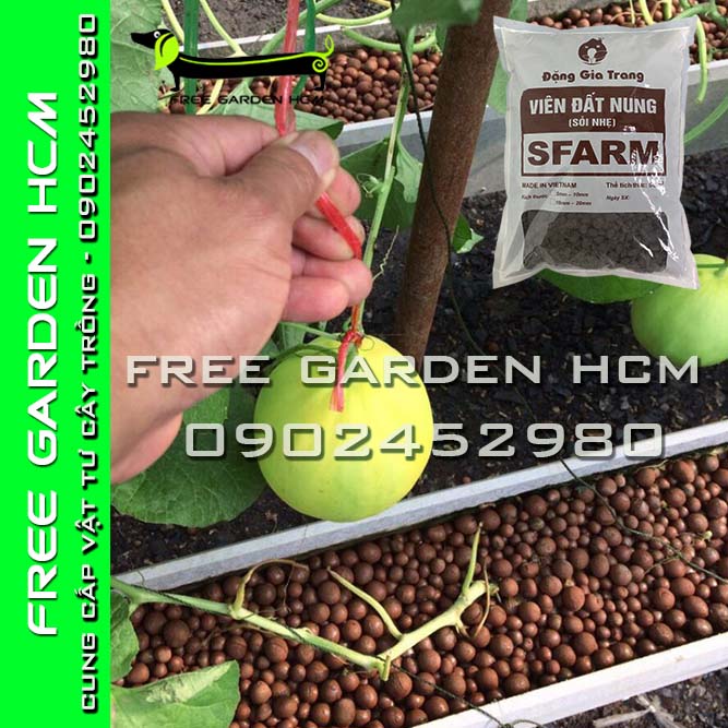 GÓI 5dm3 (3kg) ĐẤT NUNG SFARM/ SỎI NHẸ