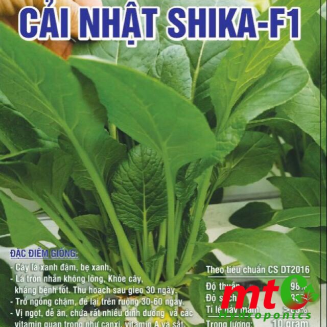 [HCM]Hạt Giống Cải Nhật SHIKA-F1