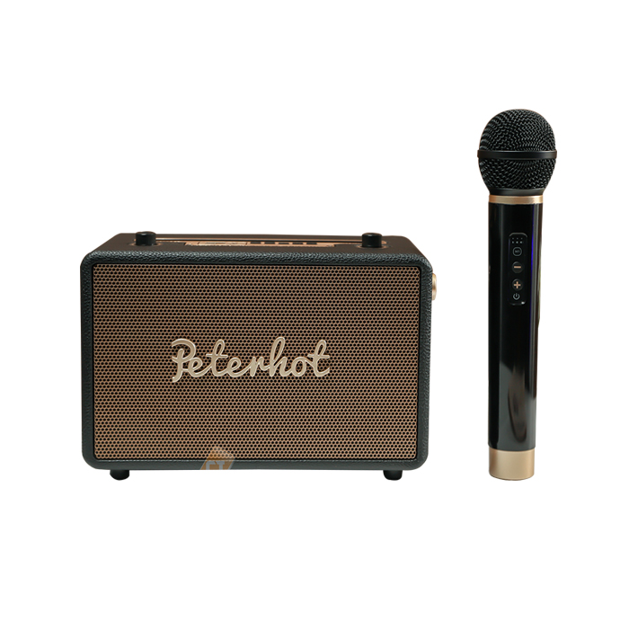 Loa bluetooth peterhot a105 âm thanh siêu đỉnh tích hợp cổng micro 6.5 karaoke micro không dây bảo hành 12 tháng