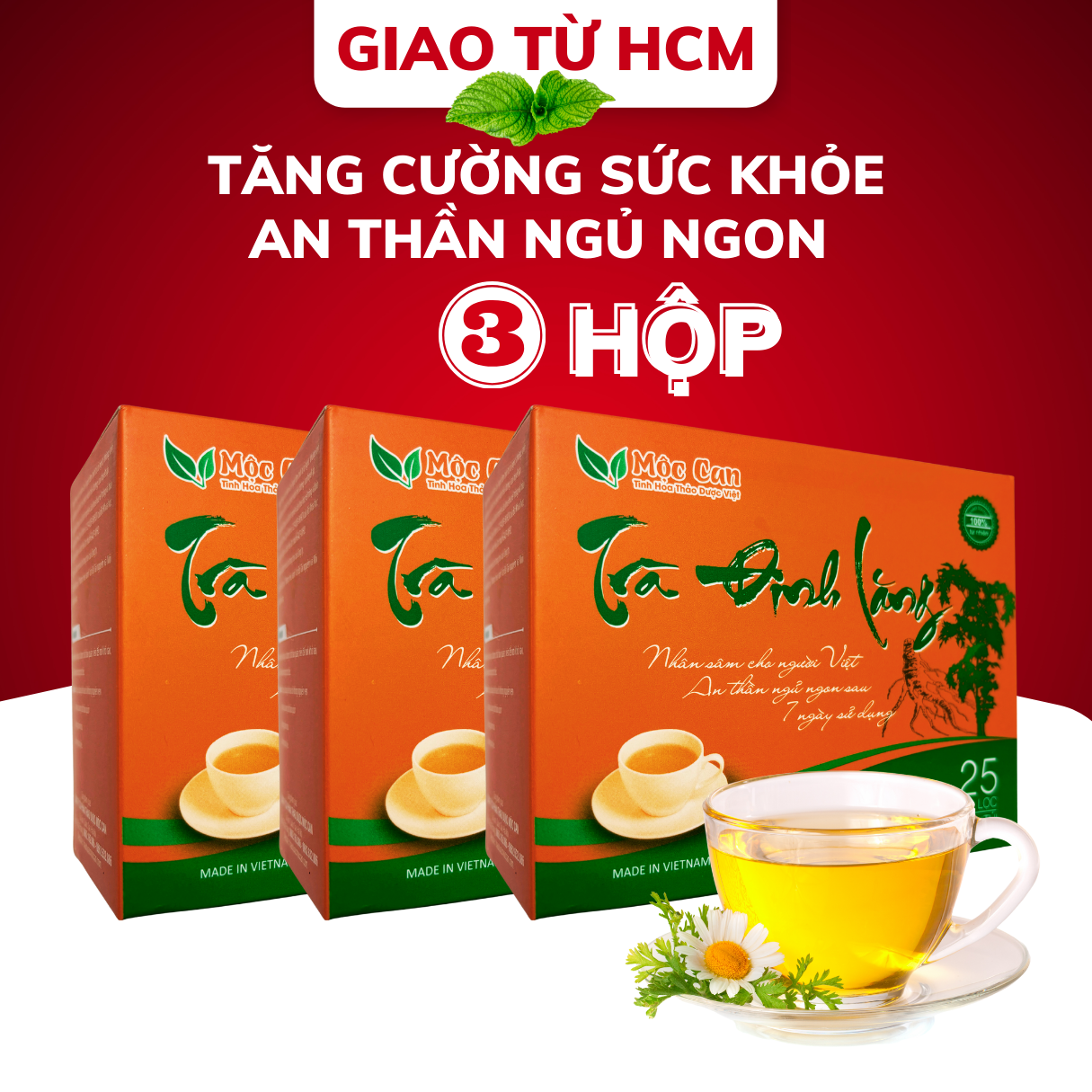 Combo 3 hộp Trà đinh lăng Mộc Can hộp 25 túi lọc