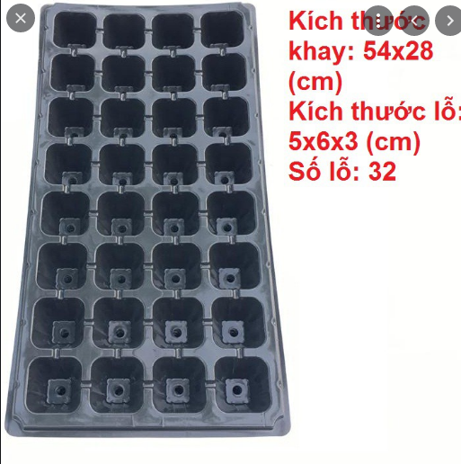 Combo 10 Khay Ươm Hạt