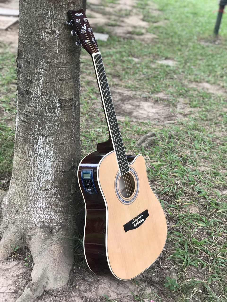 Đàn Guitar Acoustic  Yamaha F3000-N Có Equalizer