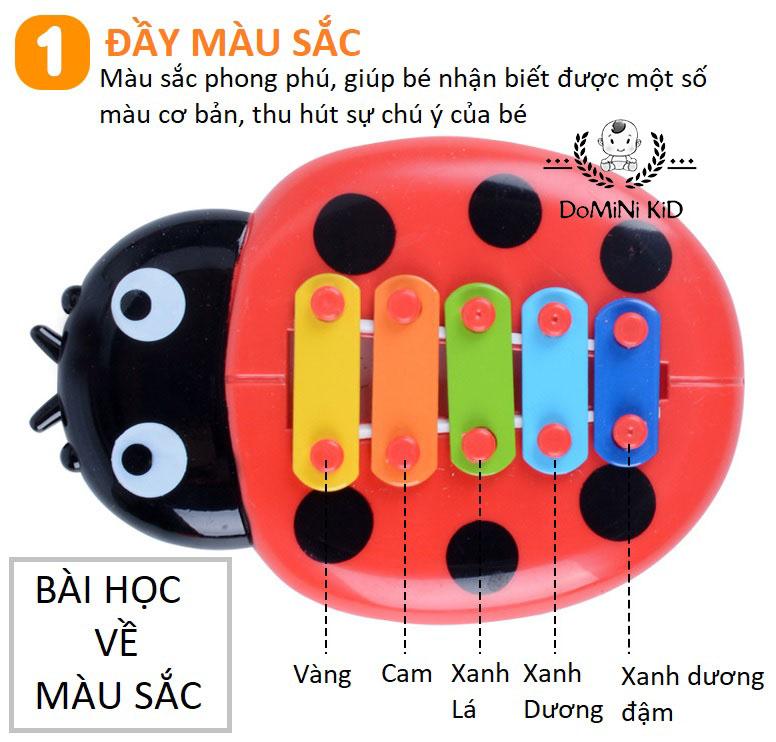 [HCM]Đồ chơi Bọ rùa đàn gõ cho bé